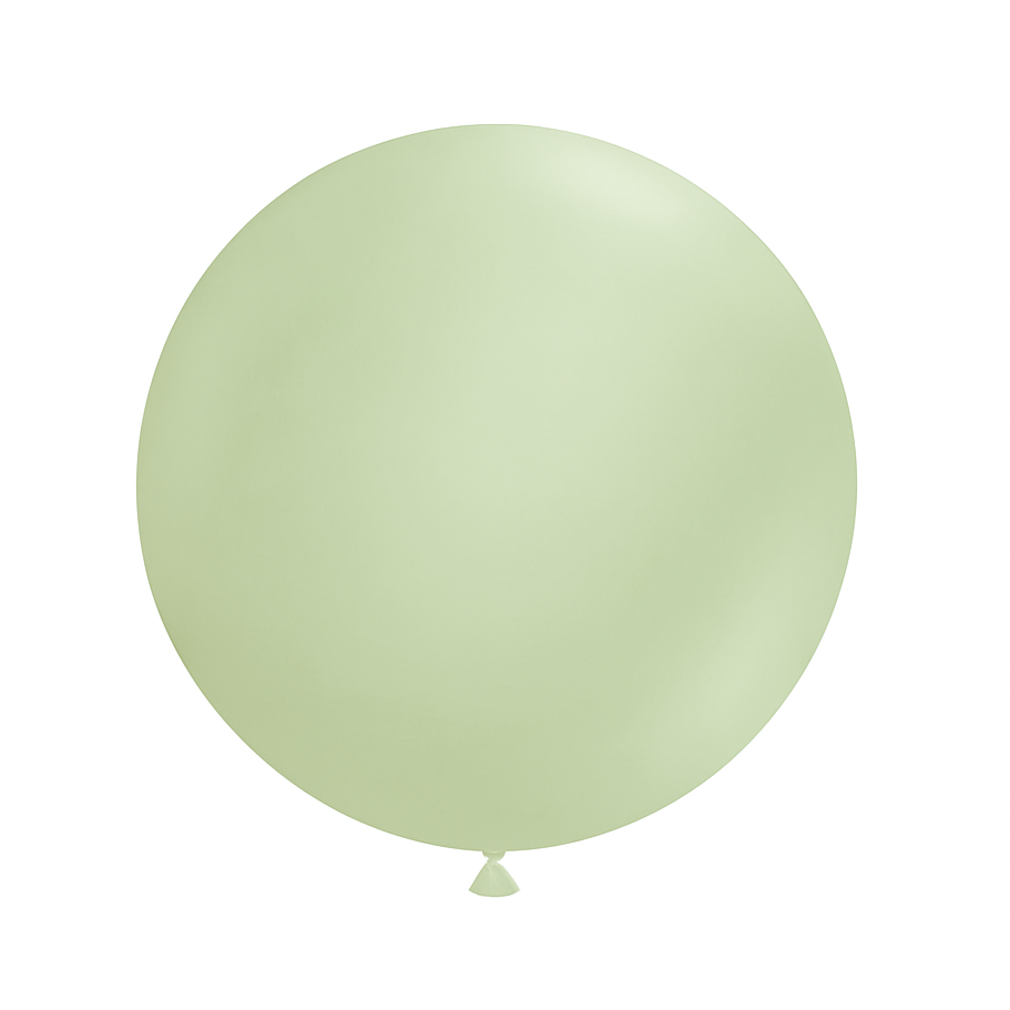 Light green balloon on a white background