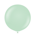 pastel green balloon on a white background